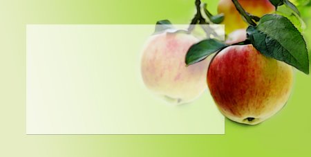 Яблоки красивые