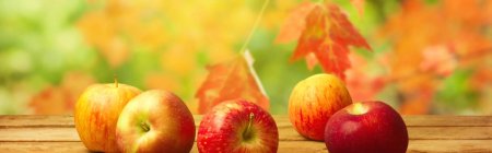 Осень яблоки