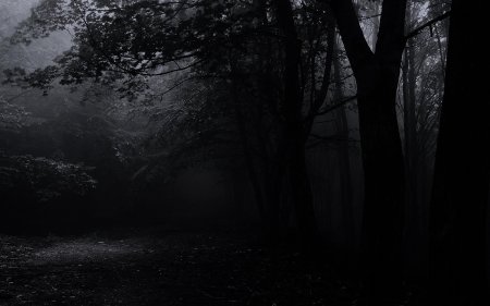 Лес тёмный мрачный