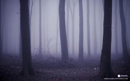 Страшный лес