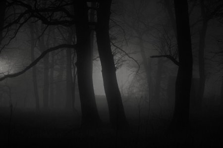 Мрачные леса