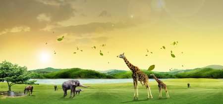 Зоопарк фон