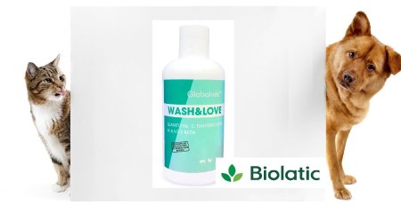 Плакаты с собаками