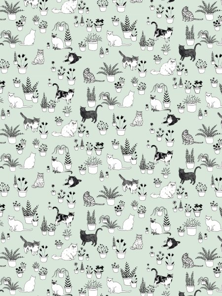 Принты с котиками