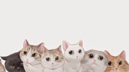 Фон с котятами