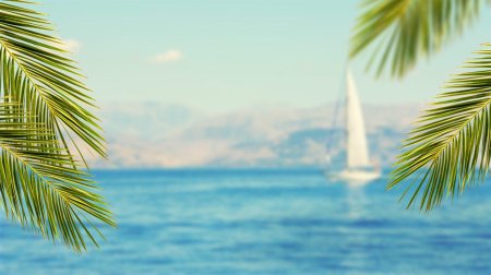 Фон с пальмами