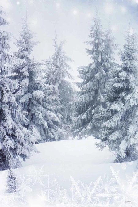 Сказочный зимний лес