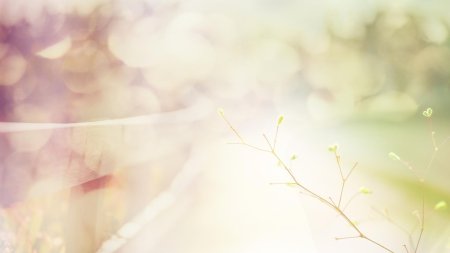 Фон пастельные тона