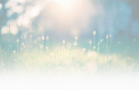 Natural Serenity фоны