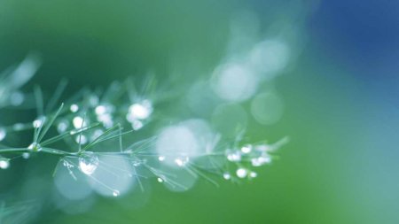 Весенний фон