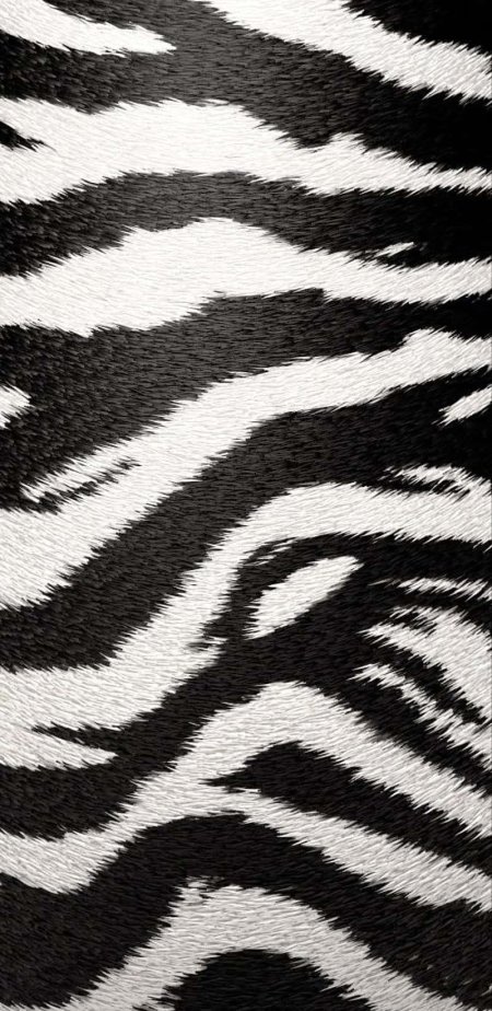 Zebra print