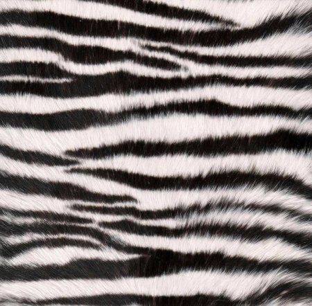 Зебра текстура