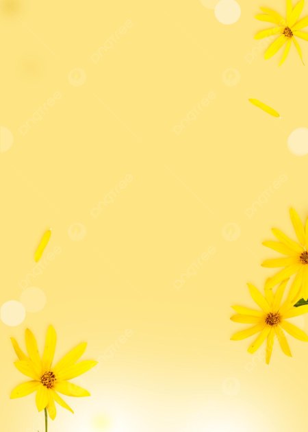 Фон желтые цветы