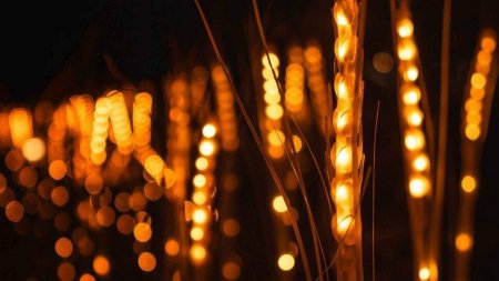Огоньки гирлянды