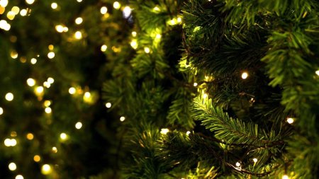 Рождественская ёлка