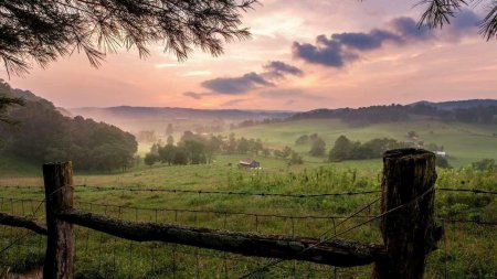 Лето в деревне