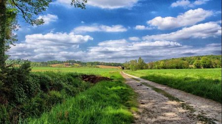 Природа деревня