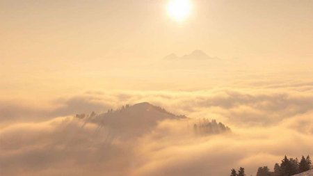 Пейзаж светлый