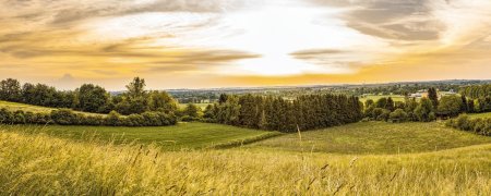 Кухонный фартук родные просторы ф-194