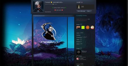 Профиль стима