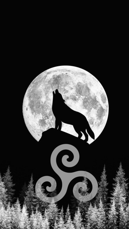 Волк на черном фоне