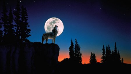 Moon wolf