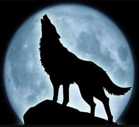 Силуэт волка воющего на луну