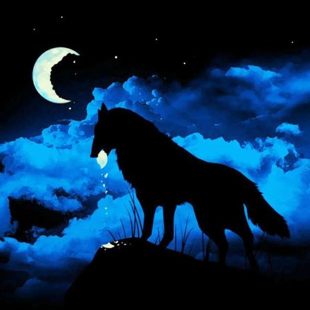 Волк в ночи