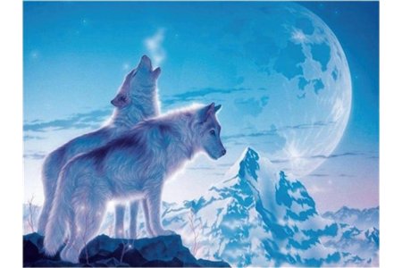 Красивые волки