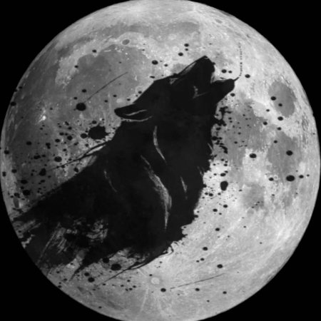 Волк воет на луну рисунок