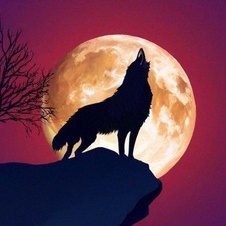 Moon wolf