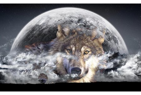 Волки красивые