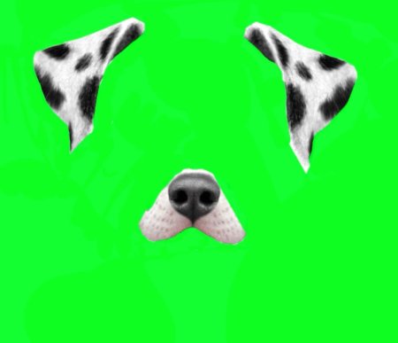 Маска собаки футаж