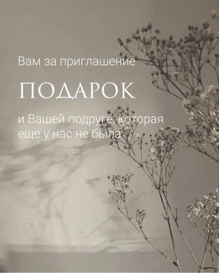 Серебряная гипсофила