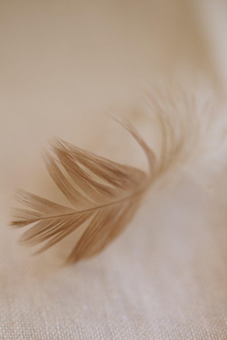 Эстетика в бежевых тонах