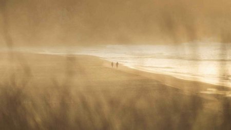 Фон в бежевых тонах