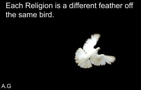 Белый голубь на черном фоне