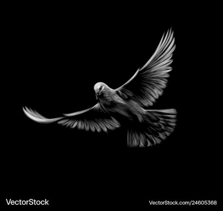 Черная птичка на белом фоне