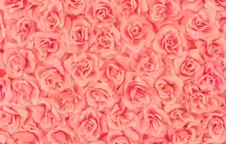 Фон с розами