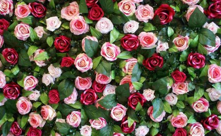 Роза кустовая Грин Глоу