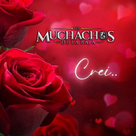 Красная роза