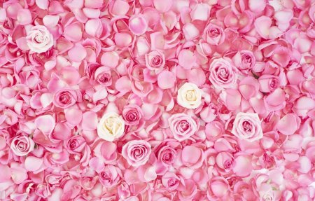 Розовый цветочный фон