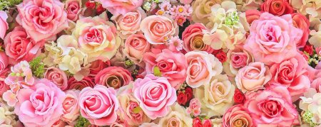 Цветы розы фон