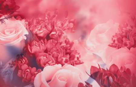 Фон с розами