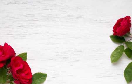 Фон с красными розами