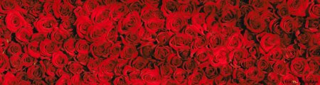 Красные розы фон