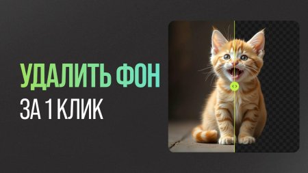 Милые котенок