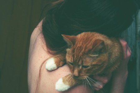 Девушка с рыжим котом