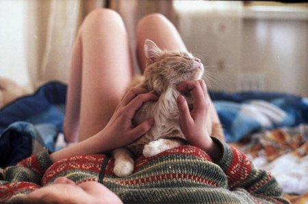 Девушка с котом