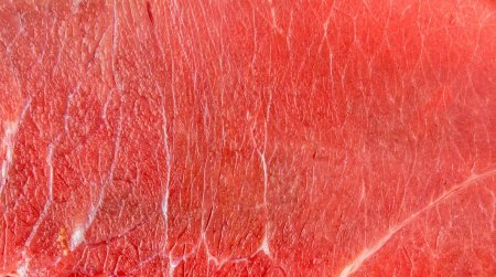 Мясо текстура